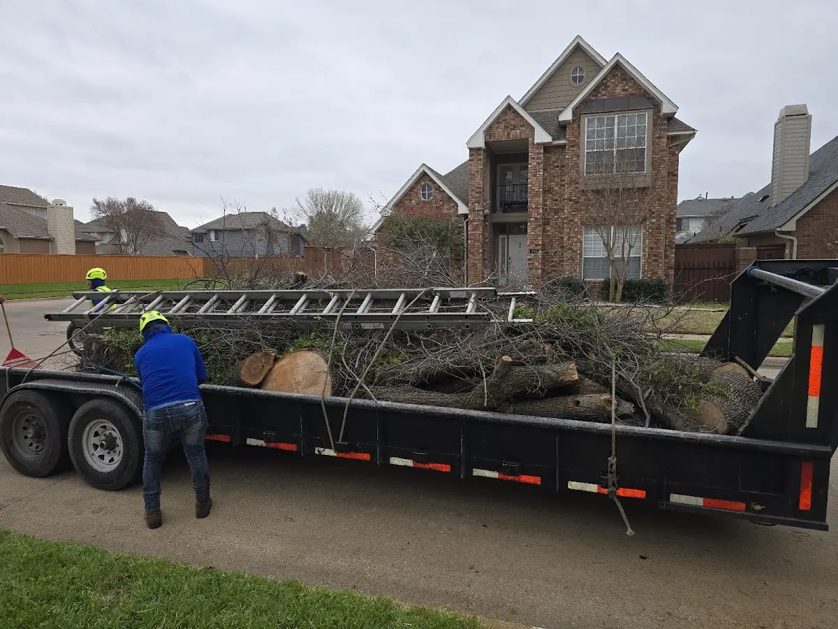 Expert Crown Reduction with proper safety equipment in Burkeville